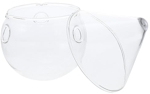 Kichvoe Bol en Verre Transparent 1 PC pour Fruits et Légumes, Tableware
