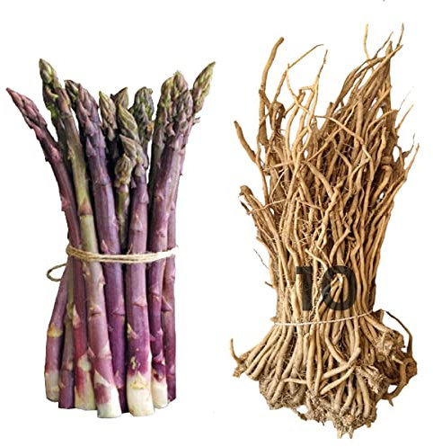 Asparago Rosso Ligure | 10 zampe selezionate