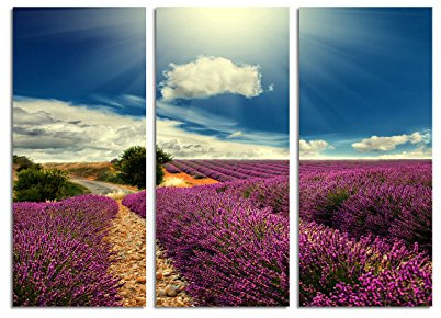 Paul Sinus Art 130x90cm – Keilrahmenbild Lavendelfeld lila Sonnenstrahlen Landschaft 3teiliges Wandbild auf Leinwand und Keilrahmen - Fotobild Kunstdruck Artprint