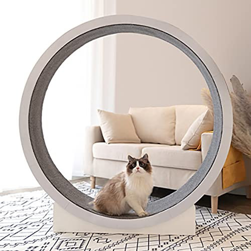 Katzenlaufrad/Katzenrad Holz Catwheel Für Große Mittlere Kleine Haustierkatze, Indoor-Katzen Gewichtsverlust Gerät Für Erwachsene Katzen Laufen Training, Katze Laufband Räder/Katzen Räder Trainer,