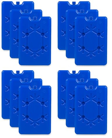 Albert Austin Home Freezer Blocks Mini Reusable Ice Blocks for Cool Bags Space Saving Freezer Packs Cooler Bag Ice Packs Non Toxic Kids Lunch Boxes Outdoor Travel Camping Picnic
