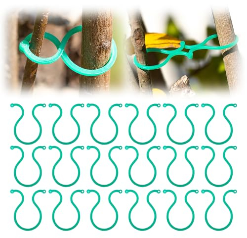 Kidmis Gesicherter Pflanzen Clip, 2025 Neuest Pflanzenclips, Pflanzenklammern klein zur Rankhilfe und Befestigung von Pflanzen, Praktischer Pflanzenstützclip für Tomate Gurken (100, #B)