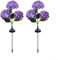 Paquete de 2 luces solares de jardín, hortensias, flores solares LED, decoración de jardín, para jardines, patios, balcones y parques (morado)