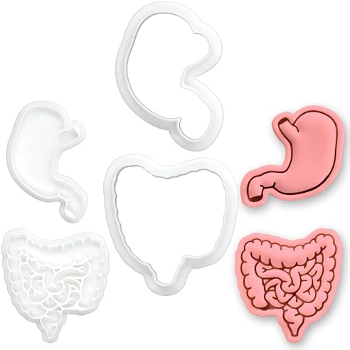 BAKERLOGY Digestive System Mini Cookie Cutter & Stamp Set (Intestines & Stomach Designs) – Fun Anatomy Fondant Embossing Stamp Cutters for Medical-Themed Baking, Cupcake Toppers & Science Treats