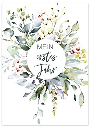 HIMMEL.HERZ.PAPIER® Meilensteinkarten Baby - Baby Geschenk zur Geburt & Babyparty und Schwangerschaft - 50 Karten inkl. Geschenkbox für Jungen und Mädchen - Grün