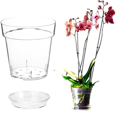 Générique Pot Transparent pour orchidées avec Trous et Soucoupe, Plastique Rigide Brillant Transparent (5, Ø 13 cm)