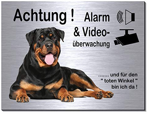 Rottweiler-Alarm-Video-Überwachung-Hund-20 x 15 cm-Schild-Hundeschild-Aluminium Edelstahloptik-Hunde-Tierschild-Warnschild-Hinweisschild (249-10 -20 x 15 cm mit Löcher)