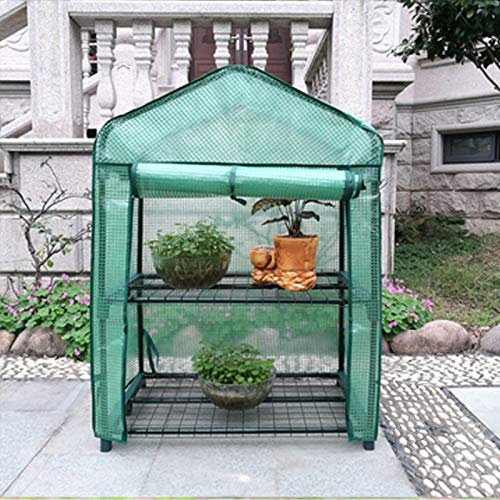 ZHZ-DT Mini Klarer Gewächshaus Treibhaus Gemüsebeet Tomatenhaus Pflanzenzelt Winterschutz Pflanzenhaus |Tragbares Gartenwachstum, Indoor Outdoor Garden Backyards, grüner PE-Abdeckung und Stahlrahmen