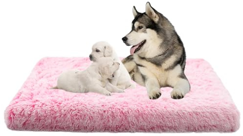 Hundebett Grosse Hunde, Hundekissen Plüsch Waschbar Hundekorb, Anti-Angst Hundebetten Zwinger-Auflage, Orthopädisch Anti-Rutsch Hundesofa Haustierbett Hundematratze Welpen Kissen(100x60x10cm)