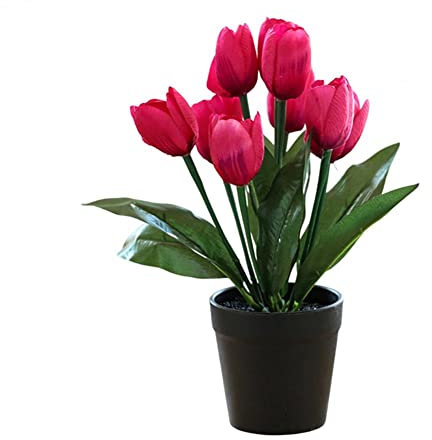 Plantes artificielles en pot, plantes artificielles en pot, plantes artificielles en pot non fanées, décoration réaliste, fleur en soie artificielle, bonsaï, tulipe artificielle à neuf têtes, bonsaï