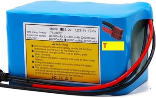 24V 10Ah 6S4P Lithium Ion Ebike Battery Pack with 25.2V 2A Charger for Electric Bicycles and Scooters - Compatible with 100W,