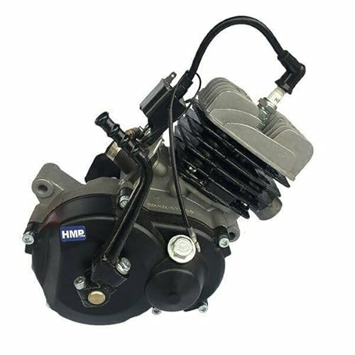 50cc Motor 2T Luftgekühlt Kickstarter für Dirt Bike Pit Bike NRG50