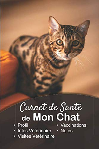 Carnet de Santé de mon Chat: v1-6 Suivez la santé de votre Chat vaccination rendez-vous chez le vétérinaire | Broché 101 pages | 15,24 cm x 22,86 cm ... d'un chat tigré qui regarde droit devant