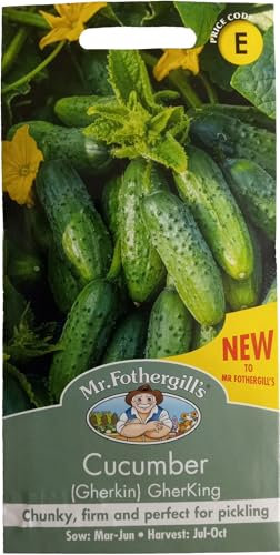 Gherkin Cucumber Seeds Variety - 'GHERKING' - for Planting UK - Vegetable - Mr Fothergill's - Grow Indoors or Outdoors