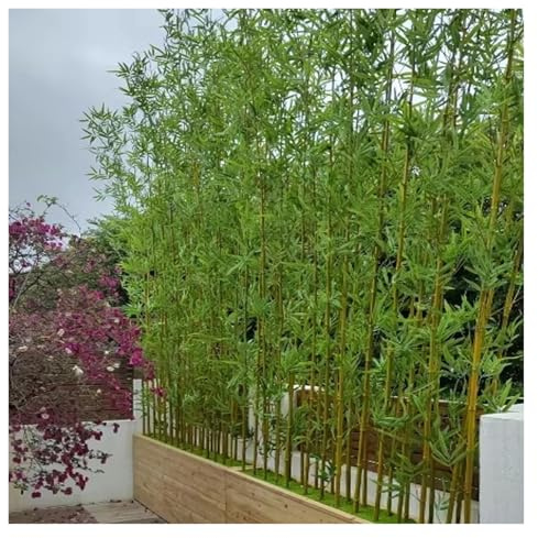 Bambus Kunstpflanze Kunstbaum Künstlicher Bambus Bäume Trennwand Sichtschutz Zaun, Outdoor-Simulation Baum Shop Dekoration für Hofeinfahrt Terrasse Ornamental, 100 150 180 200cm hoch ( Color : 1m/3.3f
