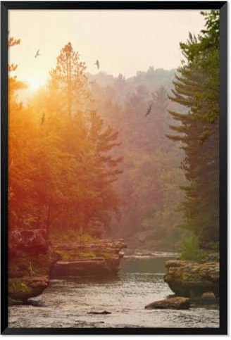Wilderness river smokey haze and Common Nighthawk birds Black Framed Canvas Wall Art for Bedroom Living Room Kitchen Bathroom Posters Prints Pictures Wall Decor Painting Artwork 8x12
