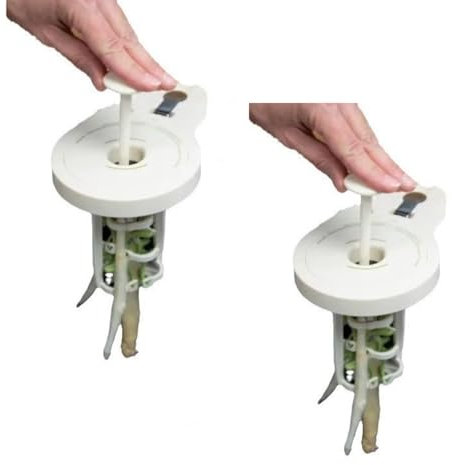 Generisch Pelador de espárragos con 6 cuchillas de precisión, pelador manual de espárragos (2 unidades)