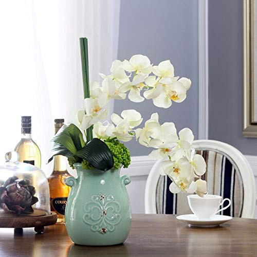: 100 piezas Hermosas semillas de orquídeas Rara Semillas de flores de orquídeas Fácil de cultivar Plantación para macetas de jardín:Seeds Only