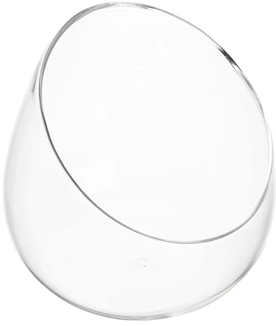 Milisten Schräg Geschnittene Glasvase Terrarium Für Sukkulenten Desktop Pflanzgefäß Aus Bruchsicherem Borosilikatglas Transparente Mikrolandschaftsflasche Home Office Dekoration