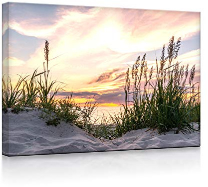 lightbox multicolor | Leuchtbild | Gras am Strand bei Sonnenuntergang | 100x70 cm | Front Lighted