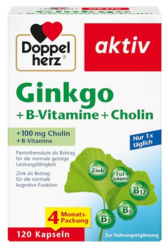 Doppelherz Ginkgo + B-Vitamine + Cholin - Mit Pantothensäure als Beitrag zur normalen geistigen Leistungsfähigkeit - 120 Kapseln