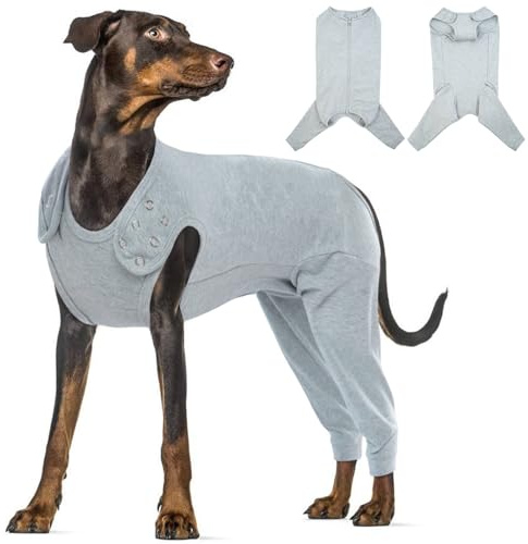 Katzinst Hundebody Nach Op, Hundekostüm Für Hunde Nach Op mit Reißverschluss Hinten, Hundebody Nach Kastration Rüde für Haarausfall, Anti-Lecken, Wundschutz, Kegel-Alternative,Grau,S
