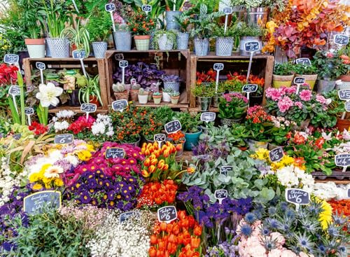 Ravensburger 500 Piece Jigsaw Puzzle – Flower Market, France | Colourful Market Scene | Premium Quality Puzzle for Adults & Teens
