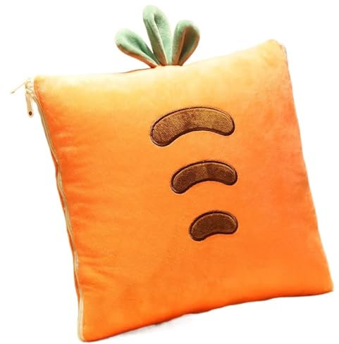 EUZLKDXU Key lock box 2 In 1 Pillow Travel Blanket Folding Air Conditioning Blanket Car Interior Cushion Pillow Office Nap Quilt Home Sofa Decor for walls, doors(Orange)
