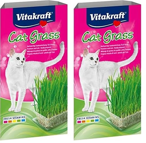 Vitakraft Katzen Gras Set, Cat Grass, 1x 120g (Packung mit 2)