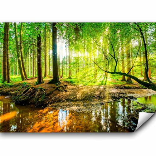murando - Fototapete Premium-Vlies Wald, 250x175 cm, Schlafzimmer, Full HD | Premium-Vliesstoff, Full HD Druck, hochwertige Verarbeitung fürs Wohnzimmer, schnelle Montage, lichtbeständig, geruchsfrei
