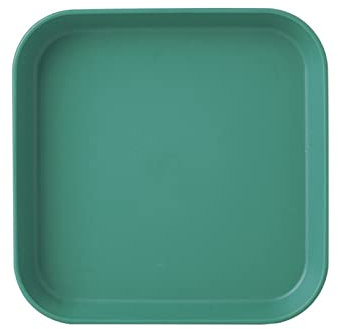OQHAIR Plateau de Garniture PP Assiette de Fruits, Petite Assiette en Plastique Domestique, Assiette à Dessert, Assiette à Dessert, Assiette de Table de Cuisine (Couleur : Vert)
