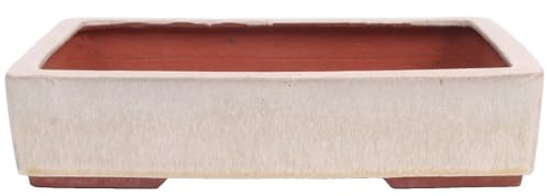 generisch Tokoname Bonsaischale von Youzan - 31,5 x 24,5 x 7 cm - eckig - Creme - 58110