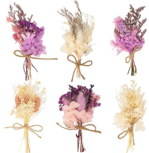 LAUMOE 6 Pcs Fleurs Séchées, Fleur Séchée Bouquet de Fleurs Séchées Fleurs Sechees Vrac Fleur Sechees Decoration pour Scrapbooking Bougie Bricolage Résine Époxy Floral Fabrication (Style 1)