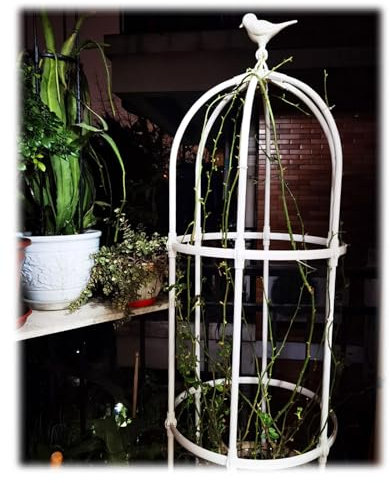 Obelisk Per Piante Rampicanti, Grigliato A Colonna Rimovibile, Metallo Traliccio Torre Per Fiori E Pomodori Con Decorazione Per Uccelli, 1.8m 2.3m 2.8m 3.3m Grigliato A Colonna(Color:Bianca,Size:ID50c