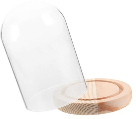 ROMISBABA Ewige Blumen Eleganter Glasglocke Mit Holzsockel Transparente Glaskuppel Zur Stilvollen Präsentation Von Dekorationen Sammlerstücken Und Pflanzen Für Tisch Und Heimdekoration