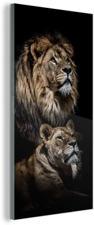 MuchoWow Glasbild Glasfoto Wandbild Bilder Deko 80x160 cm Löwe - Löwin - Porträt