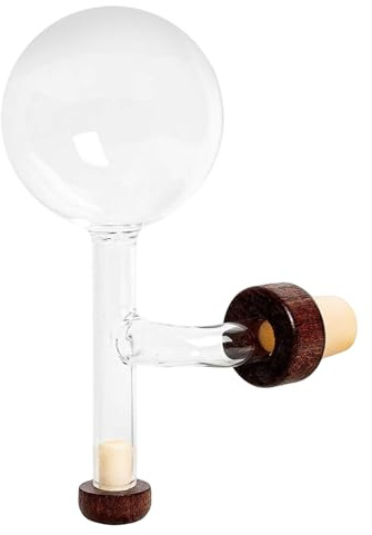 Aeratore per vino Aeratore per vino in vetro trasparente a forma di palla Beccuccio versatore con tappi Decanter per whisky portatile per beccuccio versatore per bar di casa