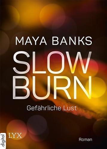 Slow Burn - Gefährliche Lust (Slow-Burn-Reihe 3)