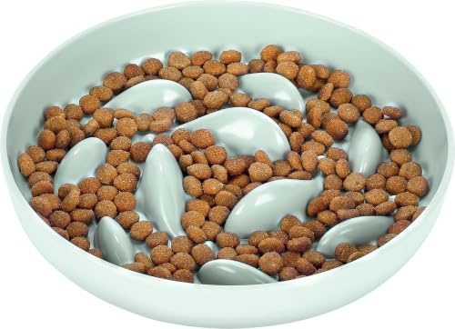 PETTOM Anti Schling Napf Katze, Antischlingnapf Katze Nassfutter Melamin, Slow Feeder Katzen rutschfest, Katzennapf Langsam Fressen mit Hoher Kante gegen Herausfallen (16×16 cm, Grün)