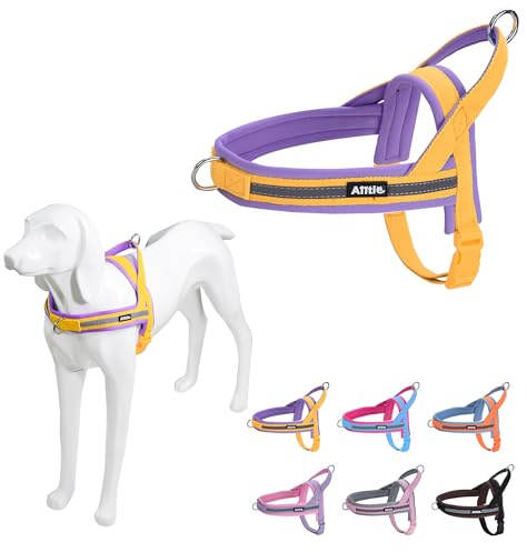 AIITLE No Pull Hundegeschirr mit weich gepolstertem Griff, Reflektorstreifen, ausbruchsicher und Schnellverschluss zum Anpassen von Geschirren für Welpen oder sehr kleine Hunde, Gelb-Lila, XXS