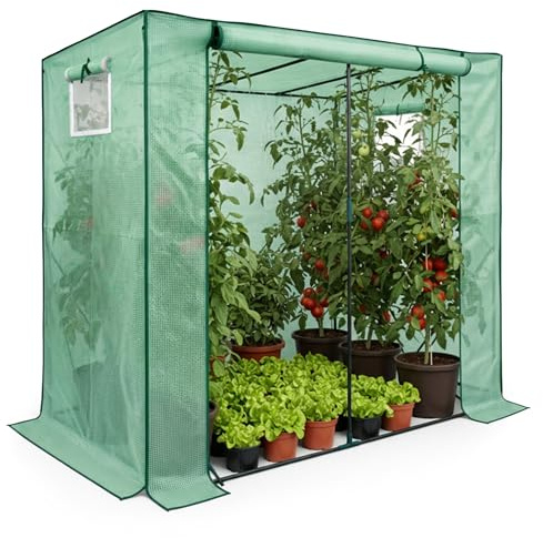 AKORD Invernadero de Jardín en Forma de Casa con Estructura de Metal y Cubierta de PE, 1 Puerta y 2 Ventanas, 202x80x170 cm, Verde