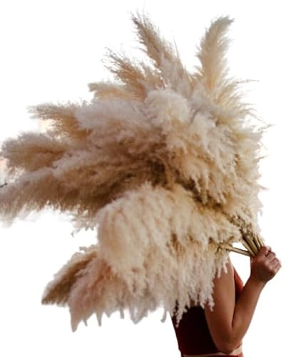 LuminaCreek Pampasgras Groß 110–120 cm Großes Flauschiges Pampasgras Dekor Getrockneter Blumenstrauß, Vintage Hochzeitszeremonie Blumenarrangement, Zuhause, Weihnachten(Beige,10pcs)
