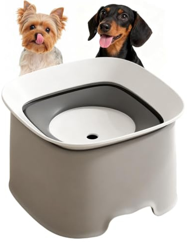 Bol d'eau pour Chien résistant aux éclaboussures - Plat à Boire Amovible po | Bol d'eau anti-avalement pour chien, pour la maison, le salon, la cuisine, l'appartement, la salle à manger, coin seul