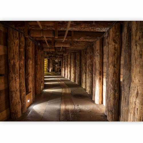 murando - Fototapete Vlies Salzbergwerk, 350x256 cm, Schlafzimmer, Full HD | Full HD Druck, 3D-Effekt, lichtbeständige Farben, ideal fürs Wohn- oder Schlafzimmer, schnelle Montage, lichtbeständig, edel