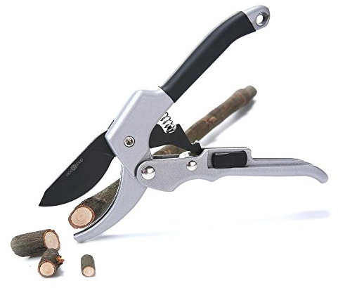 20 cm à cliquet Jardin Ciseaux Main Sécateur enclume Branche Cisaille d'élagage Sécateur Coupe Arbuste Orchard Outil Plante Trim Horticulture