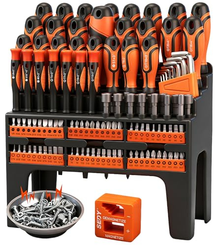124-Piece Magnetic Screwdriver Set with Plastic Racking, Precision Screwdrivers, Magnetizer, Demagnetizer, Allen Keys, Nut Drivers, Ratchet Handles, Sockets & More - DIY Tools for Men, Tools Gift