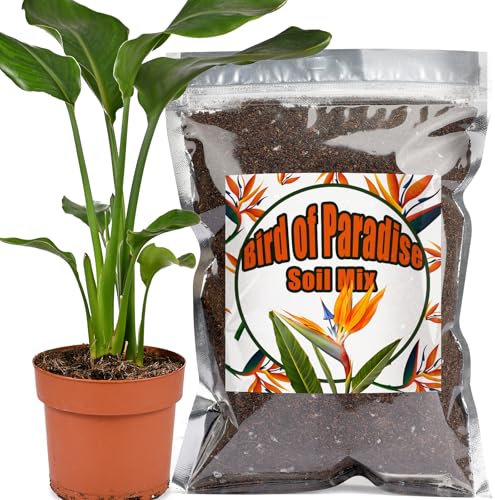 Organic Bird of Paradise Potting Soil Mix 1L, Ideal for Indoor/Outdoor Potted Plants, Promotes Optimal Growth for Bird of Paradise