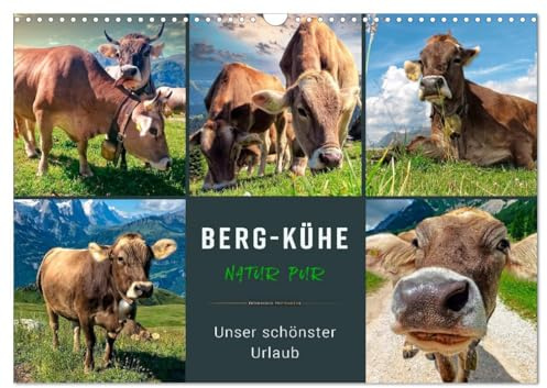 Berg-Kühe, Natur pur - unser schönster Urlaub (Wandkalender 2026 DIN A3 quer), CALVENDO Monatskalender: Eindrucksvolle Bilder der braunen Rinder vor ... Berglandschaften. (CALVENDO Tiere)
