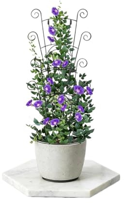 Pianta Traliccio Da Giardino Pali Di Supporto for Piante Rampicanti Pothos Pali for Interni Esterni Viti Da Balcone Pothos Monstera Ivy