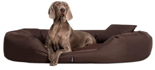 tierlando® Orthopädisches Hundebett Sammy mit viscoelastischer Matratze und hohem Rand aus robustem Polyester für gelenkschonenden Schlaf und höchsten Komfort Größe: 140x105cm | Farbe: 01 Braun